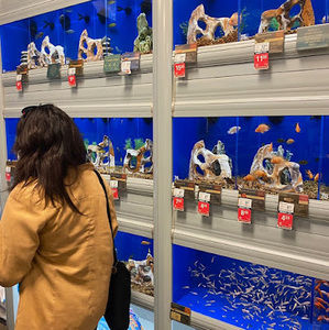 Meet your Posher, Chloe